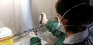 Alimenti, 40% malattie da cibo contaminato colpisce bambini under 5