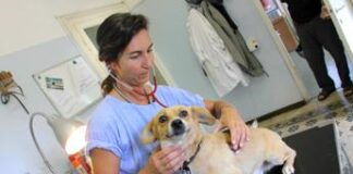 Anmvi, compie 10 anni progetto che promuove cultura One Health in scuole