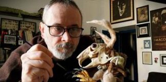Cartoons on the bay, l’arte di Bessoni: “Io anima nera del Festival”