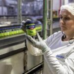 Come nasce il pesto Barilla, basilico 100% da agricoltura sostenibile ingredienti di qualità e il Metodo Delicato