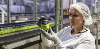 Come nasce il pesto Barilla, basilico 100% da agricoltura sostenibile ingredienti di qualità e il Metodo Delicato