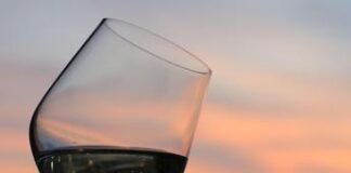 Cuore a rischio, alert della scienza per chi beve in volo