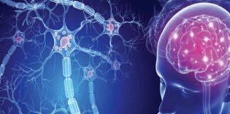 Depressione e sclerosi multipla, studio pilota su protocollo Emdr DeprEND