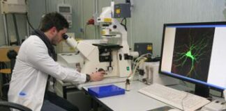 Diabete 1, identificati nuovi biomarcatori per trattamento personalizzato