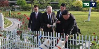 Due cani per Putin, Kim regala una coppia di Pungsan al leader russo