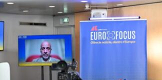 Europee: Nalli (Suzuki Italia), ‘2035 vissuto quale imposizione, decisione politica’