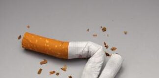 Fumo, ‘snus’ orgoglio svedese che ha fatto calare consumo sigarette ma resta fuori dall’Ue