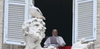 Gaza, Papa: “Agire urgentemente per soccorrere la popolazione stremata dalla guerra”