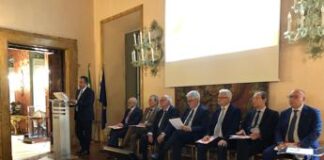 Giornata Ail, 55 anni di storia a sostegno ricerca per lotta a neoplasie sangue