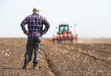 Gli offrono 700mila euro, ma un agricoltore rifiuta e non vende il suo terreno
