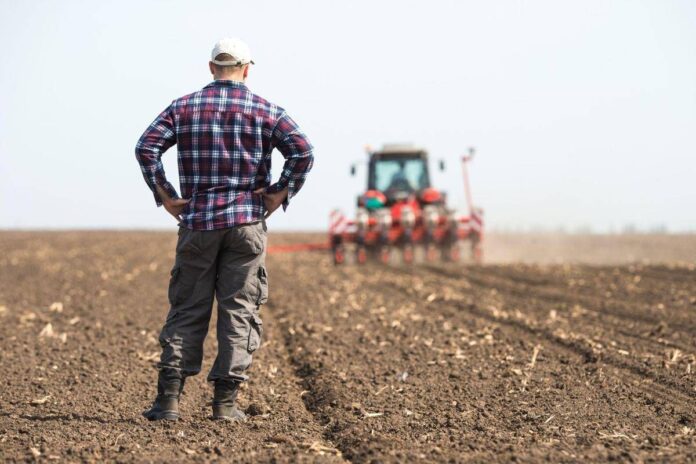 Gli offrono 700mila euro, ma un agricoltore rifiuta e non vende il suo terreno