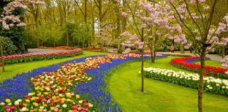 Il Verde in Europa: la crescita dell’importanza dei giardini e le sfide della tecnologia di manutenzione