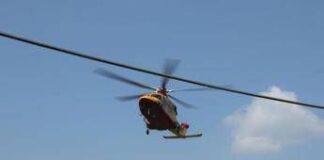 Incidente sul lavoro, 55enne muore colpito da albero nella Bergamasca