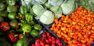 Intelligenza artificiale e agricoltura, una scelta sostenibile Agricoltura minacciata