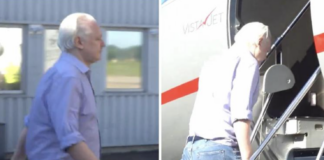 Assange libero, accordo con Usa: fondatore Wikileaks lascia Regno Unito – Video julian assange