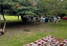 “La ciliegia politica”: con Franco Conte e Anla Tiziano Treu e Luigi Francavilla per ritorno alla politica e al lavoro per … il bene comune La ciliegia politica