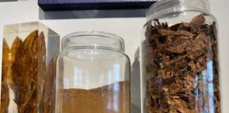 La rivincita dello ‘snus’, orgoglio svedese che ha fatto calare consumo sigarette ma resta fuori dall’Ue