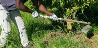 La zappa in mano al manager, un corso contro le diversità in azienda