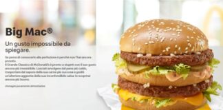Mc Donald’s perde il marchio Big Mac per i panini al pollo nell’Unione Europea