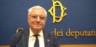 Melosi (Anmvi): “Abbandono cani in calo ma ancora problemi al Sud”