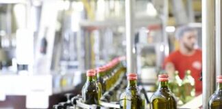 Olio, Chiara Coricelli: “Business sostenibile e lungimiranza per una crescita virtuosa”