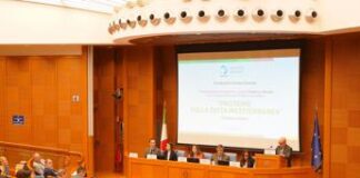 ‘Proteine nella dieta mediterranea’, un libro per favorirne l’adesione