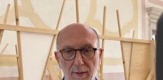 Riccardi (Fvg): “Ia va governata perché sia al servizio dei cittadini”