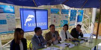 Rifiuti, al via campagna ‘Piccoli gesti, grandi crimini’, focus sui ‘micro Raee’