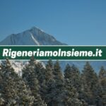 Rigeneriamo Insieme, la community per azioni a favore dell’ambiente