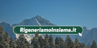 Rigeneriamo Insieme, la community per azioni a favore dell’ambiente