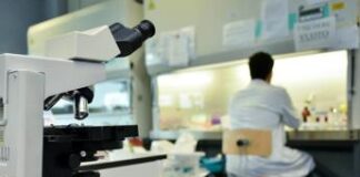 Tumori, cancro al pancreas: speranze da un farmaco anti-asma