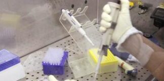 Tumori, virus Lassa potrebbe favorirli nei bimbi in Africa: la ricerca