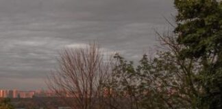 Ucraina-Russia, guerra accelera crisi climatica globale: l’allarme