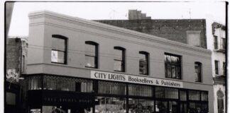 City lights, parte a Vicenza il nuovo festival sul pop/beat: al Teatro comunale la prima edizione city lights vicenza