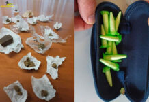 Lotta allo spaccio di droga nel Vicentino, attività della Guardia di finanza in diversi comuni droga nel vicentino