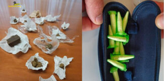 Lotta allo spaccio di droga nel Vicentino, attività della Guardia di finanza in diversi comuni droga nel vicentino