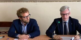 Tav-area Lanerossi, l’albero può diventare “monumentale”