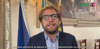 Bosco e Liquidambar, l’albero monumentale: il sindaco Giacomo Possamai “positivo” sul futuro dell’area espropriata a Vicenza