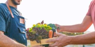 Agricoltura, Gruppo Davines proroga candidature ‘The Good Farmer Award 2024’