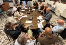 Sindacati Polizia di Stato di Vicenza in I Commissione: preoccupati per organici e super lavoro. Consiglieri vicini, appello ai parlamentari vicentini Audizione in Prima Commissione consiliare dei sindacati della Polizia di Stato di Vicenza e provincia