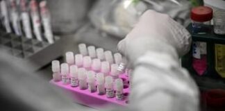 Aviaria, un caso umano di H5N1 in Gran Bretagna: ceppo diverso da quello Usa