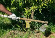 Lavoro nero nel Vicentino: il Partito della Rifondazione Comunista si scaglia contro “imprenditori senza scrupoli” Caporalato lavoro nero