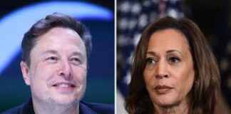 Elon Musk viola le regole di X, posta un video deepfake su Kamala Harris