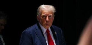 Guerra Ucraina-Russia e Nato, il piano di Trump