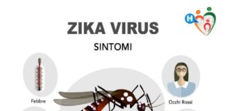 Rilevato caso di positività al virus Zika a Mussolente: disposta disinfestazione in via precauzionale Effetti virus Zika