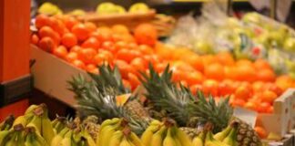 Malattia di Crohn, la nutrizionista: “L’alimentazione è parte della cura”