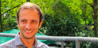 Governance Poll regioni per Il Sole 24 Ore: Fedriga il più popolare, Zaia ancora sul podio con Bonaccini Governance Poll massimiliano fedriga