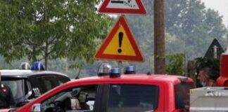 Padova, cade nel miscelatore del cibo per bestiame: morto