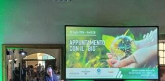 Proietti (Ismea): “Biologico centrale in Italia e Ue ma deve recuperare appeal”
