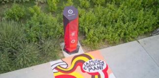 Sostenibilità, rigenerazione urbana: il progetto di Nescafé arriva a Ferrara